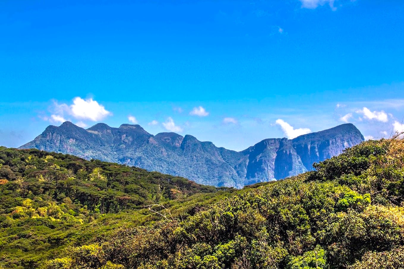 Knuckles five peaks
